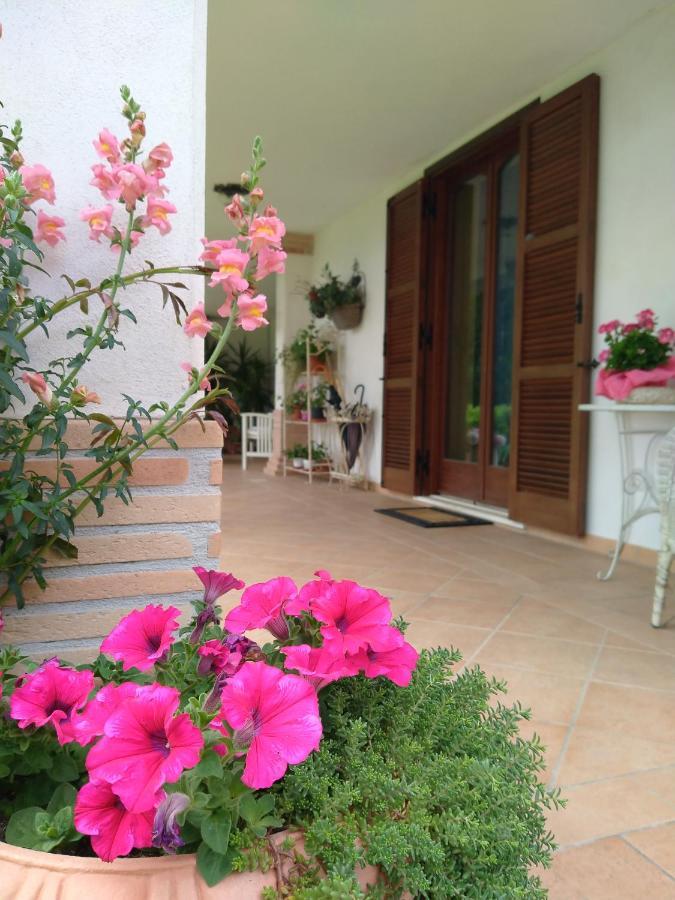 B&B Il Cantico Greccio Luaran gambar
