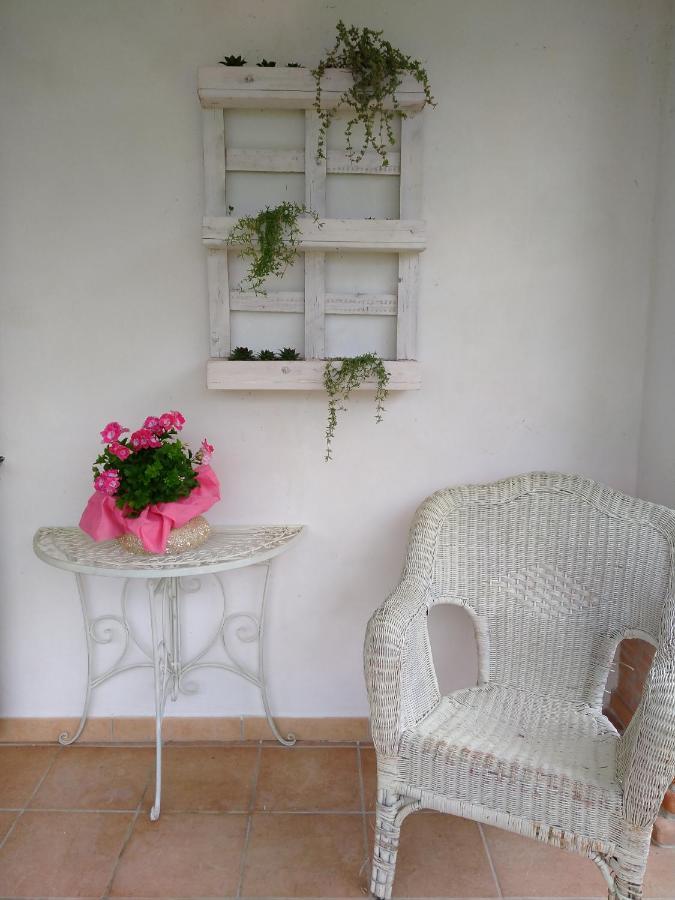 B&B Il Cantico Greccio Luaran gambar