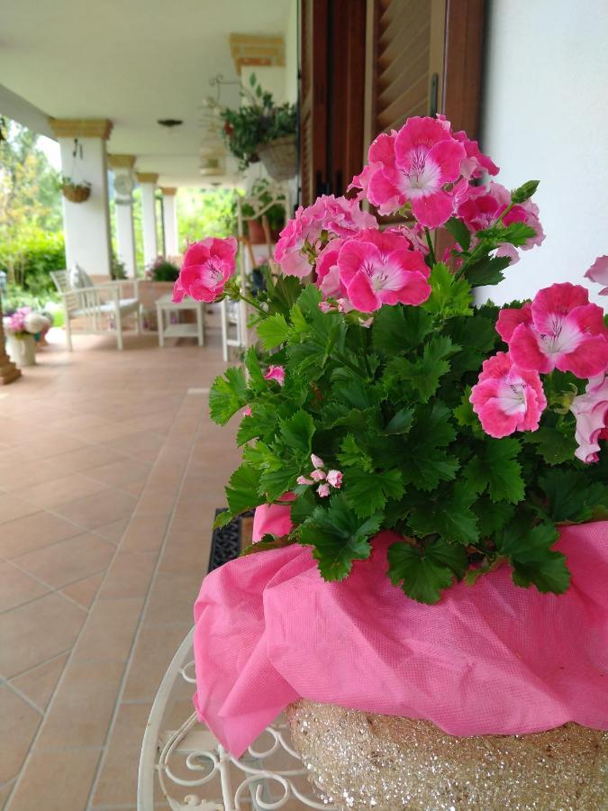 B&B Il Cantico Greccio Luaran gambar