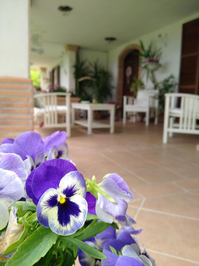 B&B Il Cantico Greccio Luaran gambar