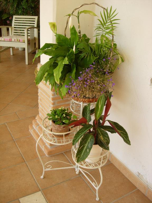 B&B Il Cantico Greccio Bilik gambar